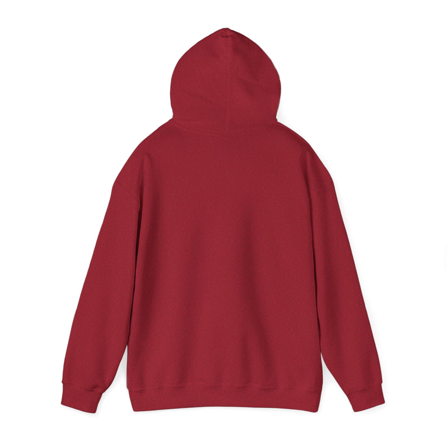 wisconsin hoodie sweatshirt