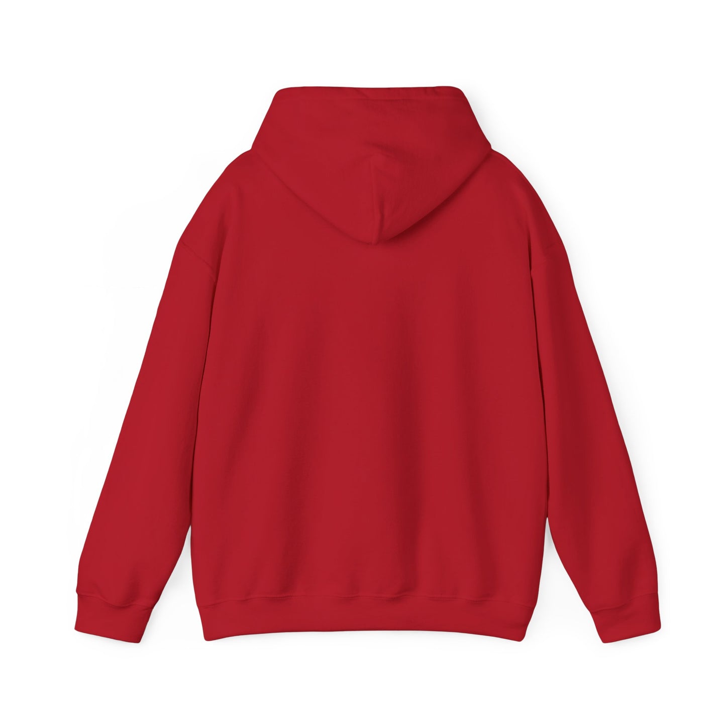 wisconsin hoodie sweatshirt