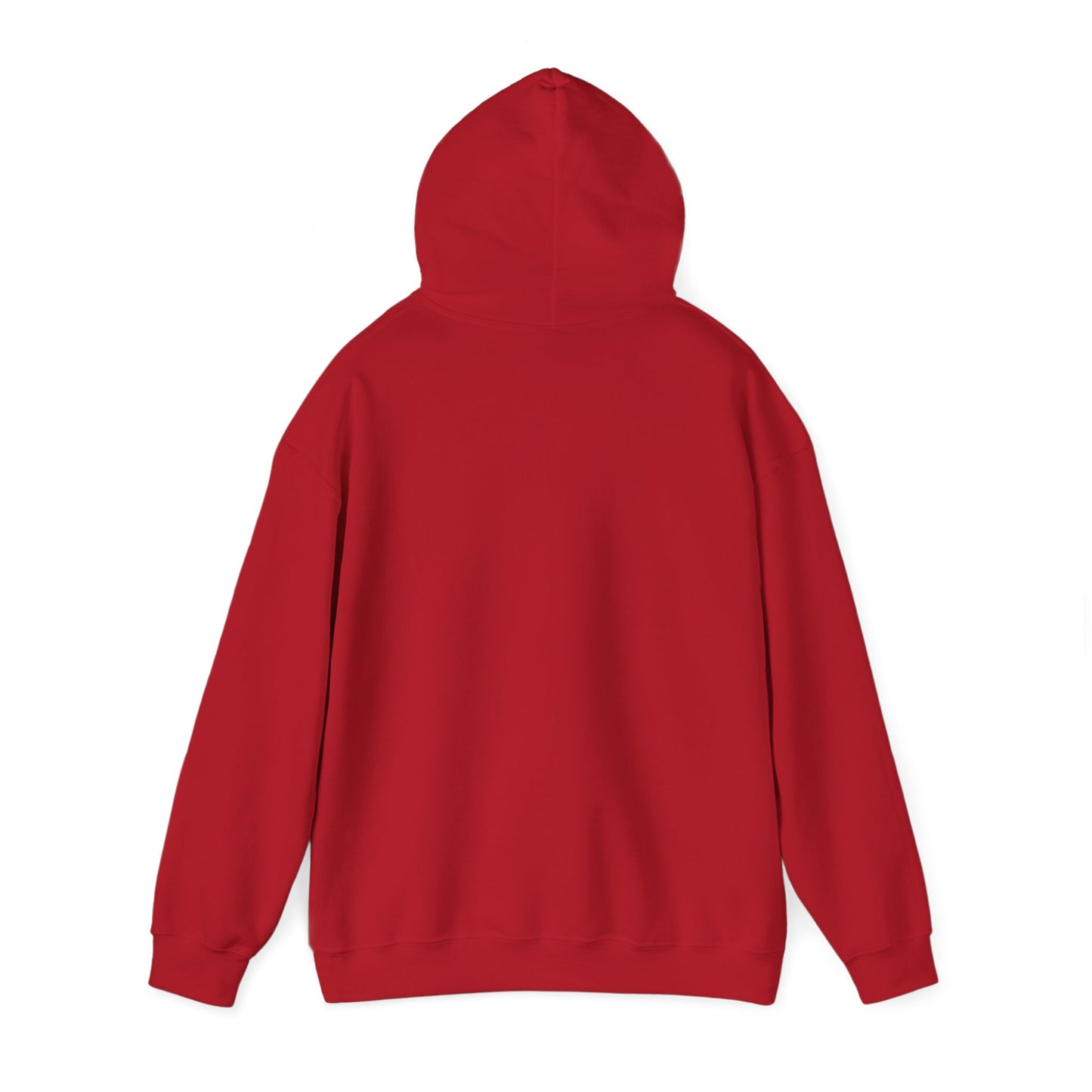 wisconsin hoodie sweatshirt